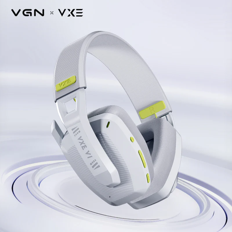 VGN VXE V1